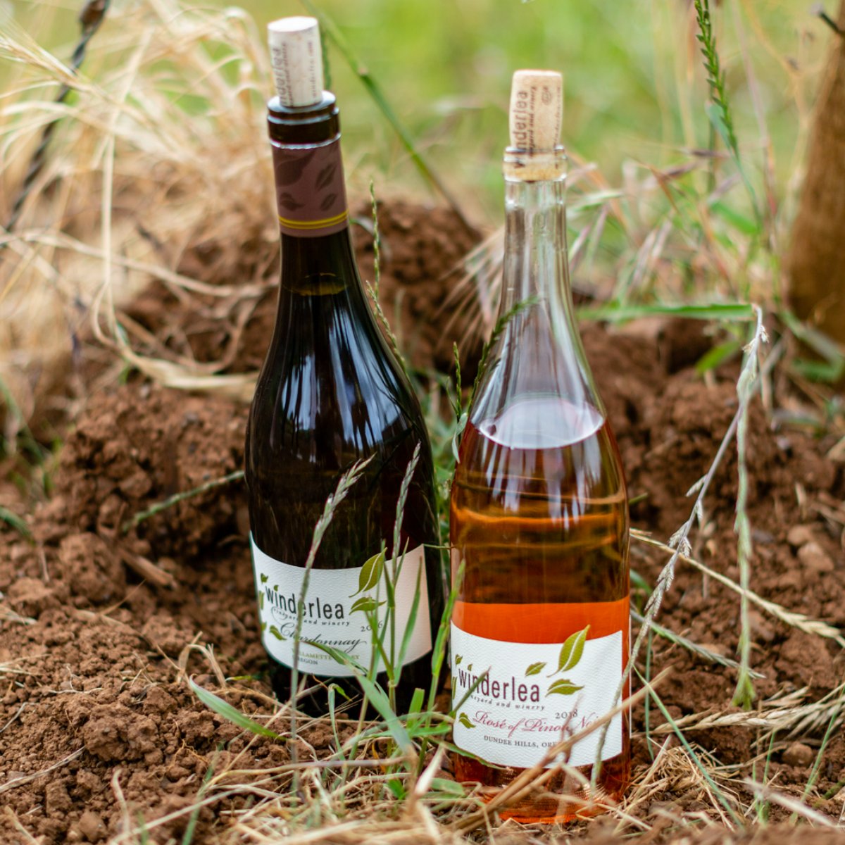We’re committed to producing wines that showcase how nature can be transformed into a source of inspiration and innovation.  #WinderleaVineyardAndWinery #CheersingAtTheVineyard #BiodynamicWine #PrivateTastings #OregonWine