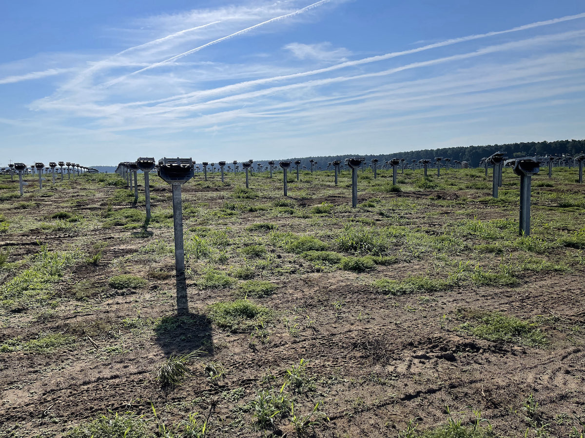 Sunfolding tweet media