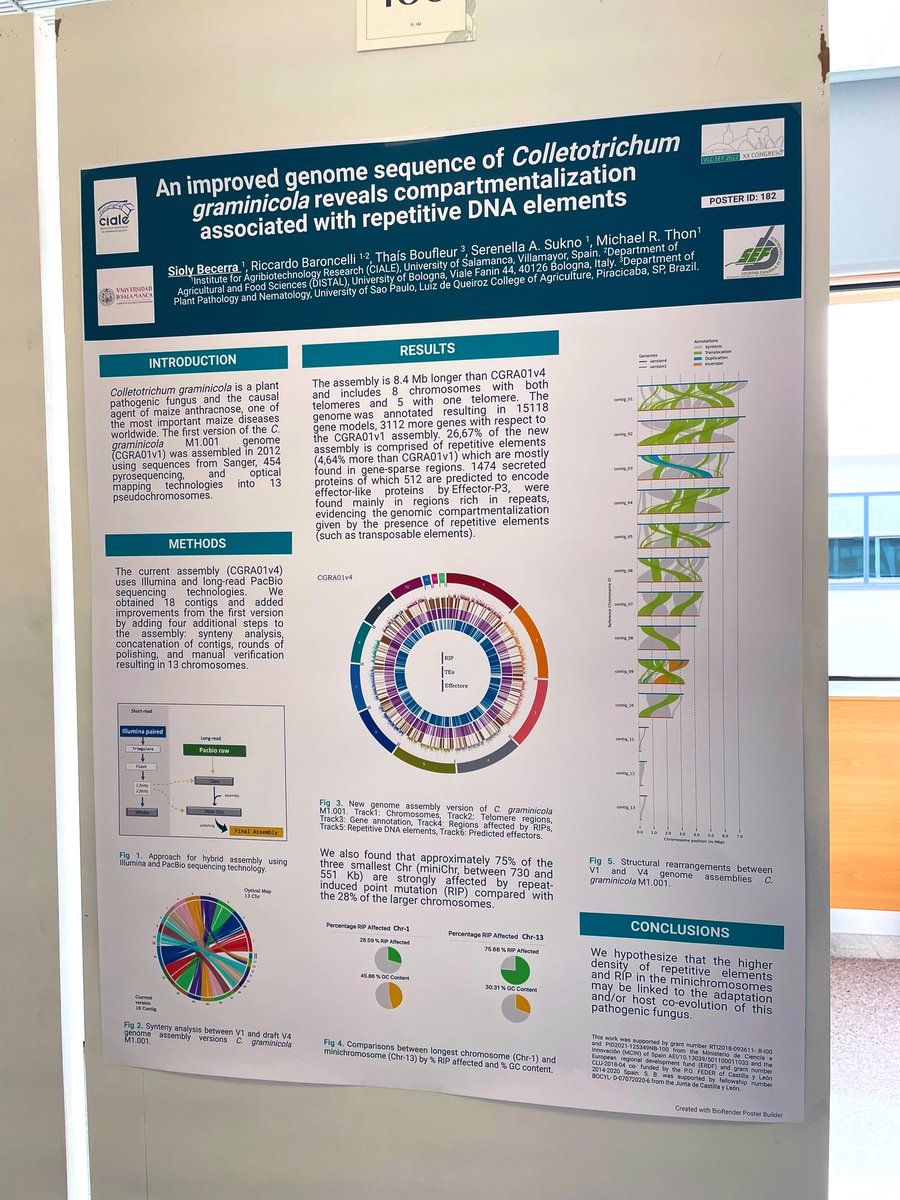 Sioly Becerra tweet media