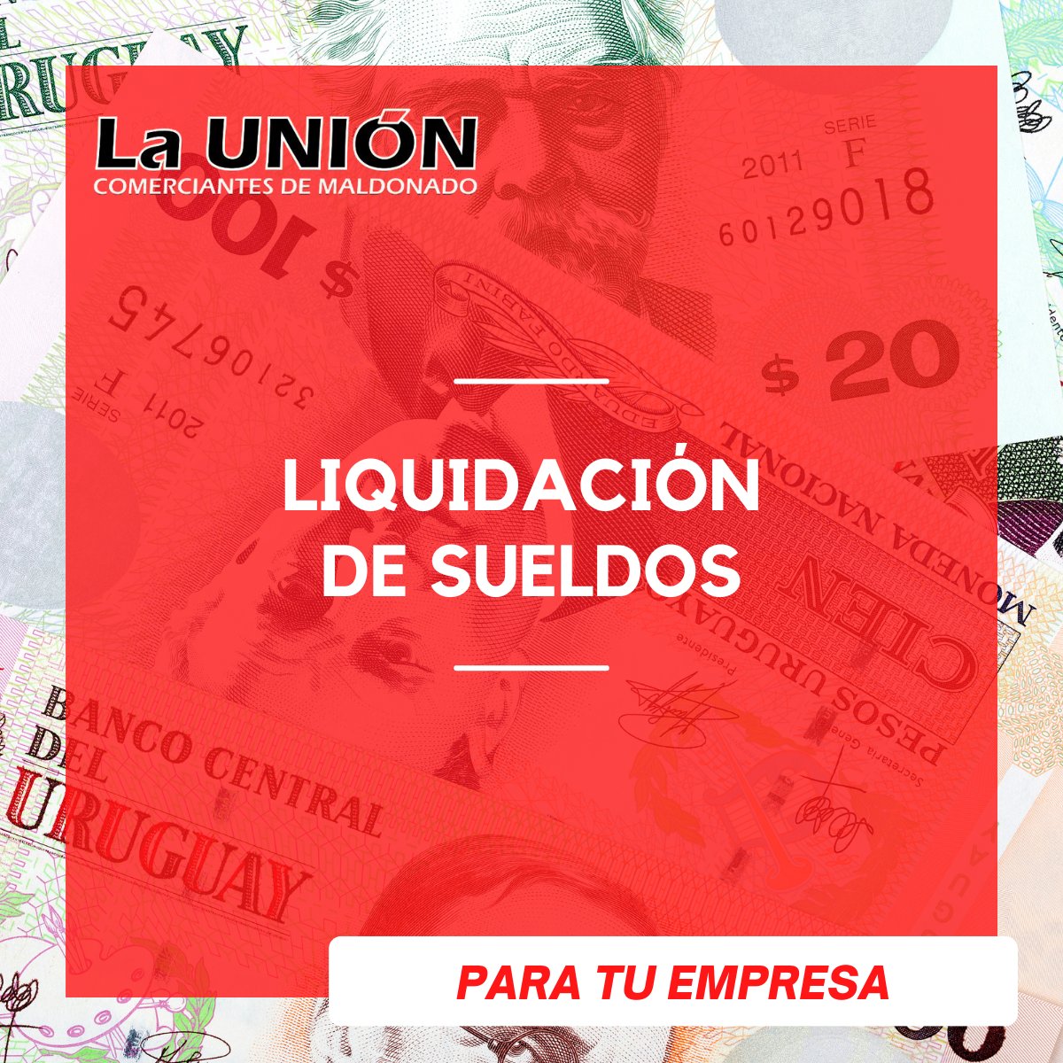 UDCMaldonado's tweet photo. Siendo socio de LA UNIÓN DE COMERCIANTES MALDONADO sólo obtienes grandes beneficios.

Te ofrecemos el servicio de liquidación de sueldos para tu empresa.

Si aún no eres socio puedes comunicarte al ☎️ 42227212 📲091 227 285📍Ventura Alegre entre Rincón y San Carlos https://t.co/3IChWM55Wh