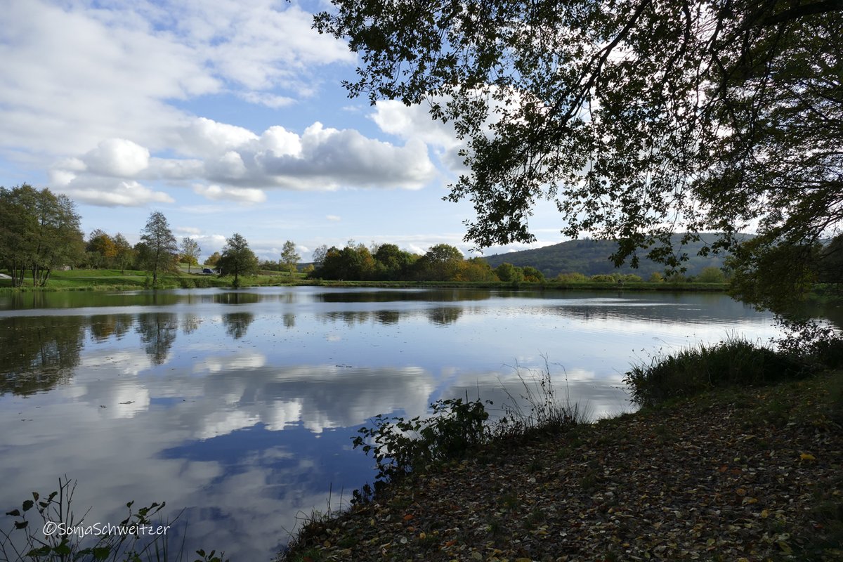 HessenSonja5767's tweet photo. Waldsee Probbach.......................... #Mengerskirchen #Probbach #Waldsee #Badesee #Badeseen #Ausflugsziel #Ausflugstipp #LimburgWeilburg #Limburg #Weilburg #rtlm #Westerwald #Mittelhessen #Hessen #Germany https://t.co/JX9DTyt6cA