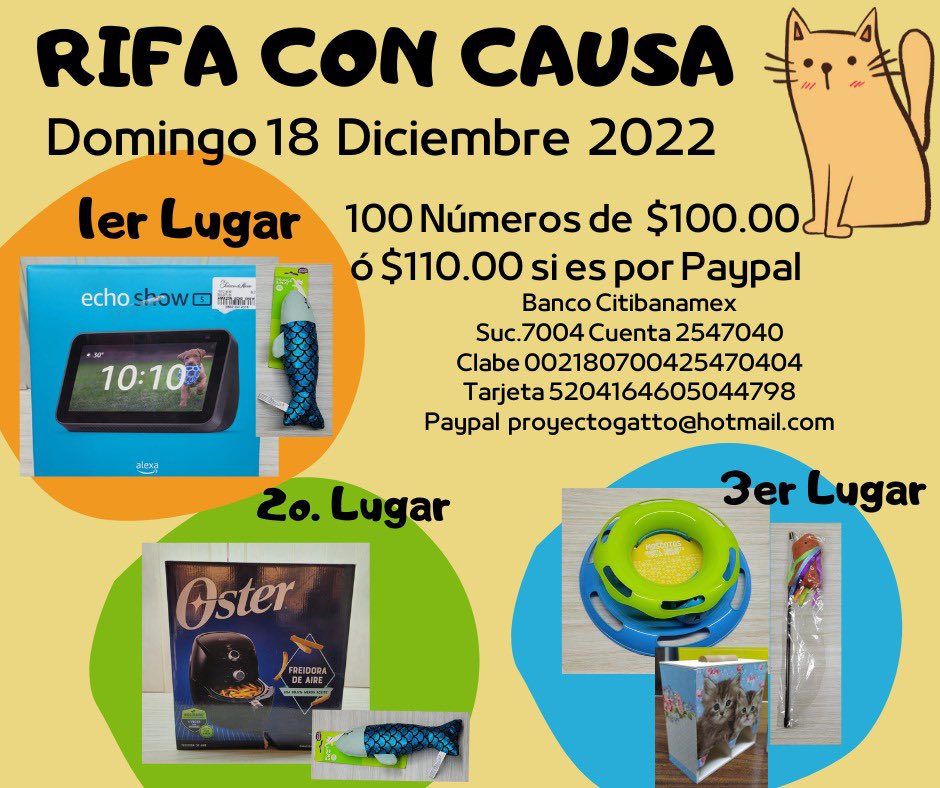 Apoya a nuestros pequeños ganándote un lindo regalo para tus mininos… solo tienes que comprar un boletito de 100 pesos y ya participas… 
#rifaconcausa #cats #adoptanocompres