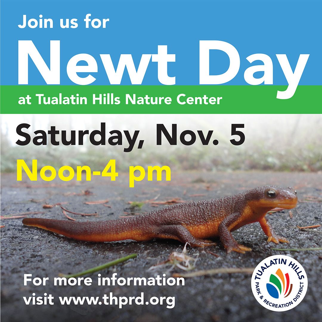 NEWT DAY is Saturday, November 5, at Tualatin Hills Nature Center! Come find out how newts evade predators, survive in and out of water, and camouflage themselves with a single leaf. Registration is recommended. Read more at buff.ly/3SeqpZ3.