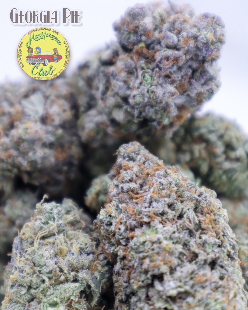 rushgreen15's tweet photo. ‼️New Drop This Week‼️

Follow me on Instagram: @marijuanaclub.916 
Text me: 916-519-9848
Follow me on Twitter: @rushgreen15
Follow my YouTube Page: marijuana club 916
Join Telegram https://t.co/EQFFRJLlJA
go to my website @ https://t.co/uTHbse5l7c https://t.co/YnKiAx4KEN