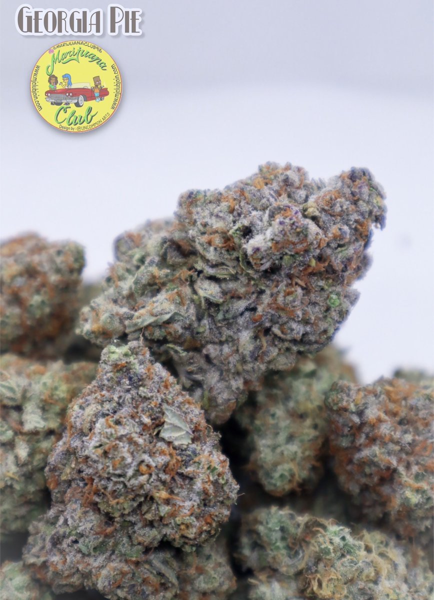 rushgreen15's tweet photo. ‼️New Drop This Week‼️

Follow me on Instagram: @marijuanaclub.916 
Text me: 916-519-9848
Follow me on Twitter: @rushgreen15
Follow my YouTube Page: marijuana club 916
Join Telegram https://t.co/EQFFRJLlJA
go to my website @ https://t.co/uTHbse5l7c https://t.co/YnKiAx4KEN