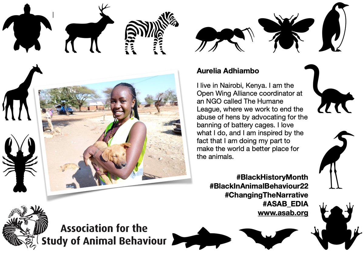 asab_org's tweet photo. This is @Aureliaresearch, she is speaking at the @AAWConference at the end of the month. Thank you for joining our #BlackHistoryMonth campaign Aurelia. #ChangingTheNarrative #ASAB_EIDA #BlackInAnimalBehaviour22 https://t.co/kugiuReFXF