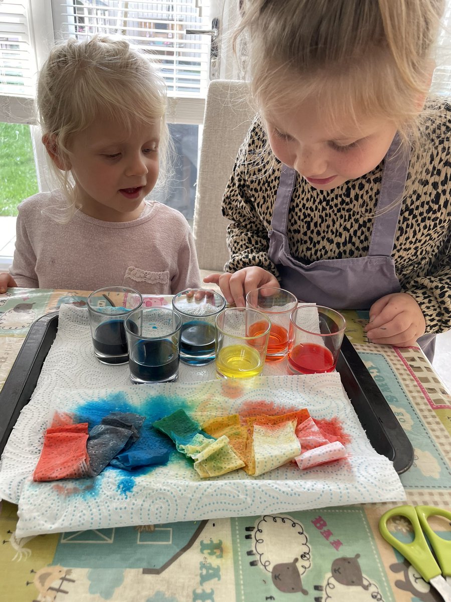 Ashlee686's tweet photo. @AnlabyPS the results from our experiment. The girls were super impressed to see that water can walk from one glass to the other and their predictions on the colour changes were correct. Who doesn’t love a little bit of science! https://t.co/JfcWUoJlBv