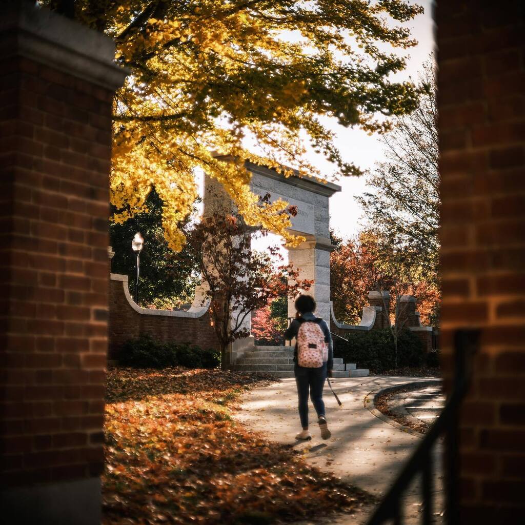 Wake Forest Photography tweet media