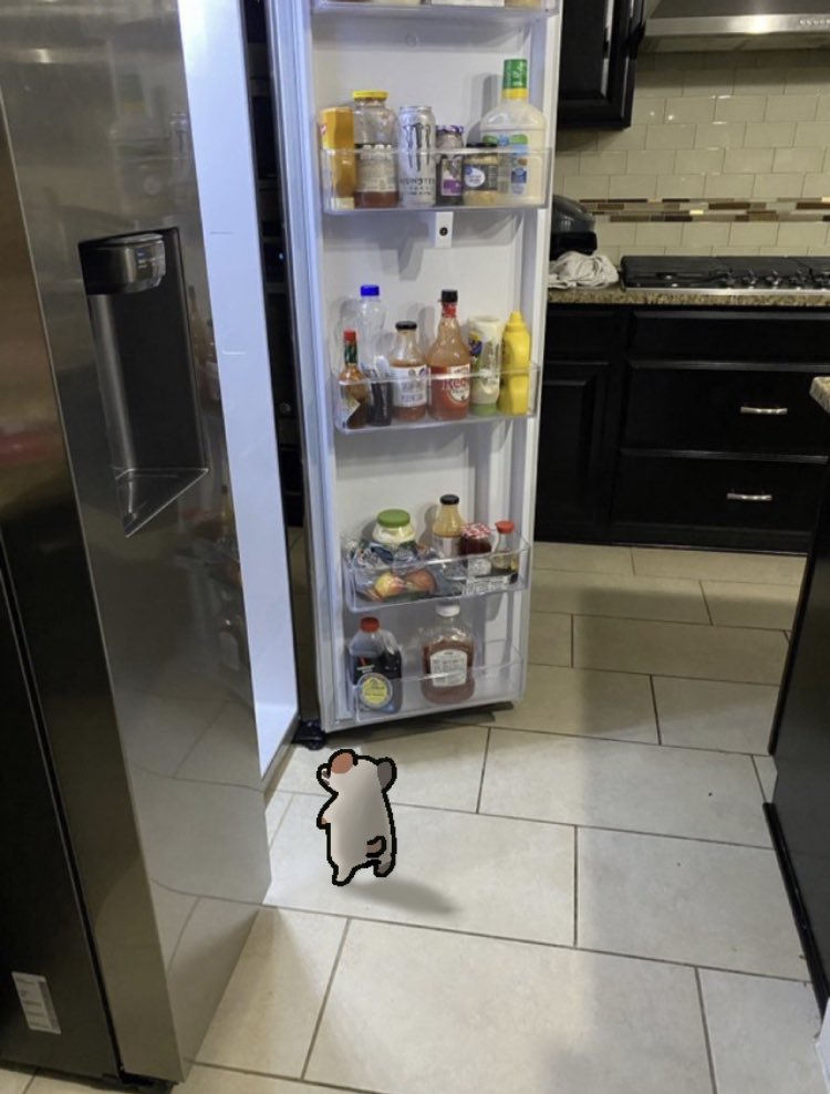 cuptoast's tweet photo. https://t.co/OegcV2yuxZ