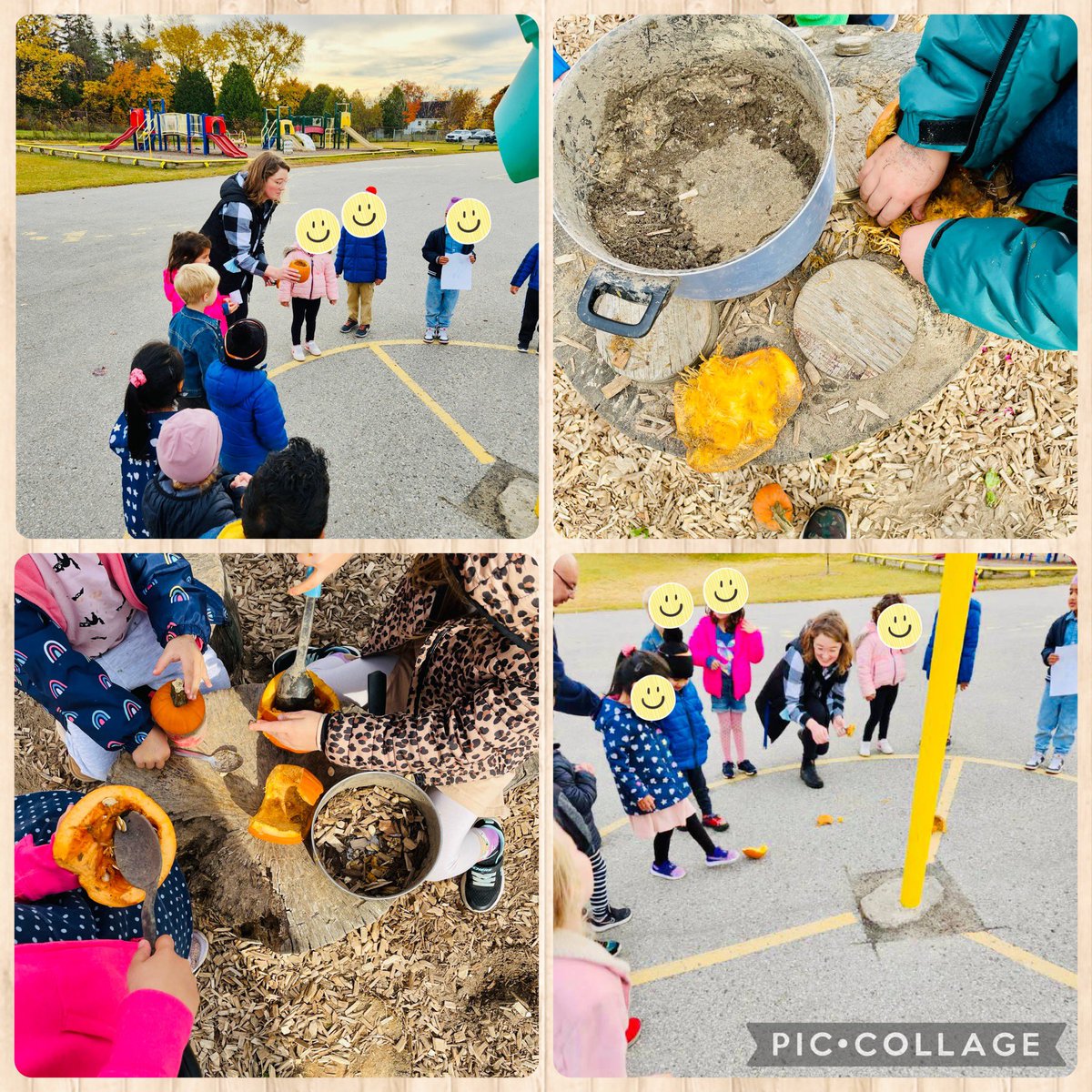 Kaitlyn Cunningham (@msk_cunningham) on Twitter photo Our pumpkins were getting a little squishy so we decided to smash them! We then used them in the kitchen. “I’m making a pumpkin soup.” “This pumpkin is for a pie.” “I’m getting all of the seeds out to cook.” 🎃<a href="/LambethPS1/">Lambeth P.S.</a> <a href="/TVDSBKinder/">TVDSBKindergarten</a> Our pumpkins were getting a little squishy so we decided to smash them! We then used them in the kitchen. “I’m making a pumpkin soup.” “This pumpkin is for a pie.” “I’m getting all of the seeds out to cook.” 🎃<a href="/LambethPS1/">Lambeth P.S.</a> <a href="/TVDSBKinder/">TVDSBKindergarten</a>
