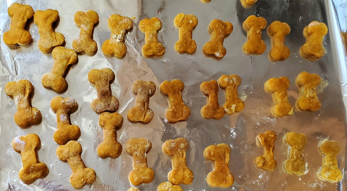 spunkybytez's tweet photo. Punky Bytez finally got a makeover!
#dogs #dogtreats
#SmallBusiness #womanownedbusiness #bakedfromscratch https://t.co/Q5F3ZYOexL