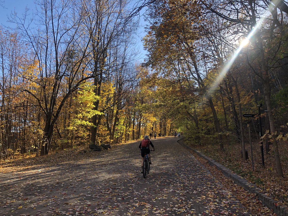 CL_opez's tweet photo. Enjoying another gorgeous Autumn afternoon. Soaking it in at @lemontRoyal #mtlfall https://t.co/qXyfa04iVl