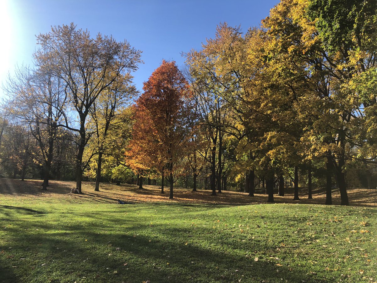CL_opez's tweet photo. Enjoying another gorgeous Autumn afternoon. Soaking it in at @lemontRoyal #mtlfall https://t.co/qXyfa04iVl