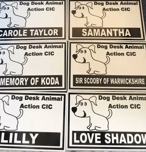 DogDeskAction's tweet photo. #ThrowbackThursday
Hundreds of plaques arrived, each bearing the name of the person who had kindly bought a kennel
They hang proudly on the huts that have become so precious to the #dogs
#dogsoftwitter #recuedogs https://t.co/72EcYwjQRZ