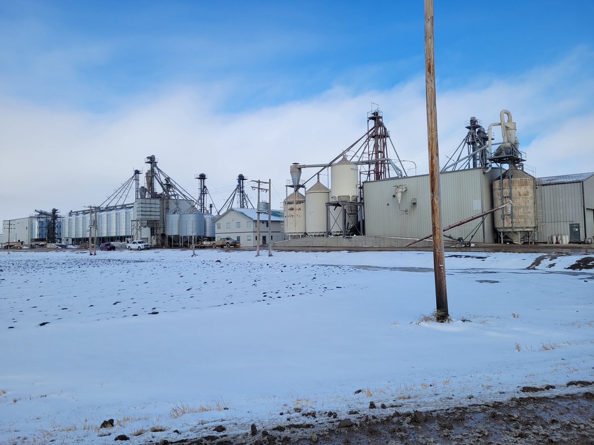 The new and improved <a href="/AvenaFoods/">Avena Foods Limited, Canadian specialty miller</a> very impressive #oat processing facility. Dropping samples off today, some even were grown with #covercrops