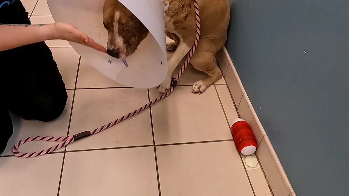 CBS 58 News tweet media