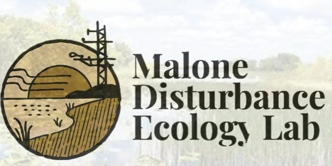 SparkleLM85's tweet photo. Postdoc Alert!  Are you interested in a postdoctoral fellowship exploring the capacity of natural ecosystems to capture and sequester carbon with the Malone Disturbance Ecology Lab @YaleEnvironment? Apply by November 30th:https://t.co/0ImhsTmpip

@MexFlux @AmeriFlux @FLUXNET_Coop https://t.co/d2S5eLJvM5