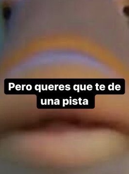 thakiddcesar's tweet image. yo dando una sorpresa