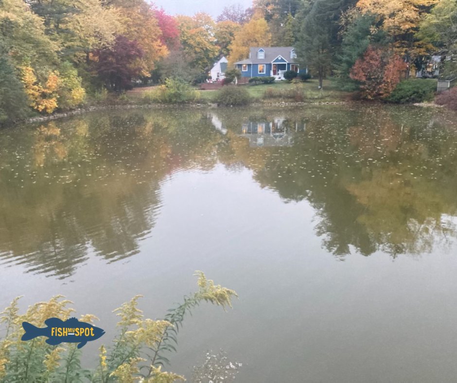NEW POND ALERT! Check out this new listing in Jackson Twp., Ohio. Learn more at fishmyspot.com/pond-details/6…