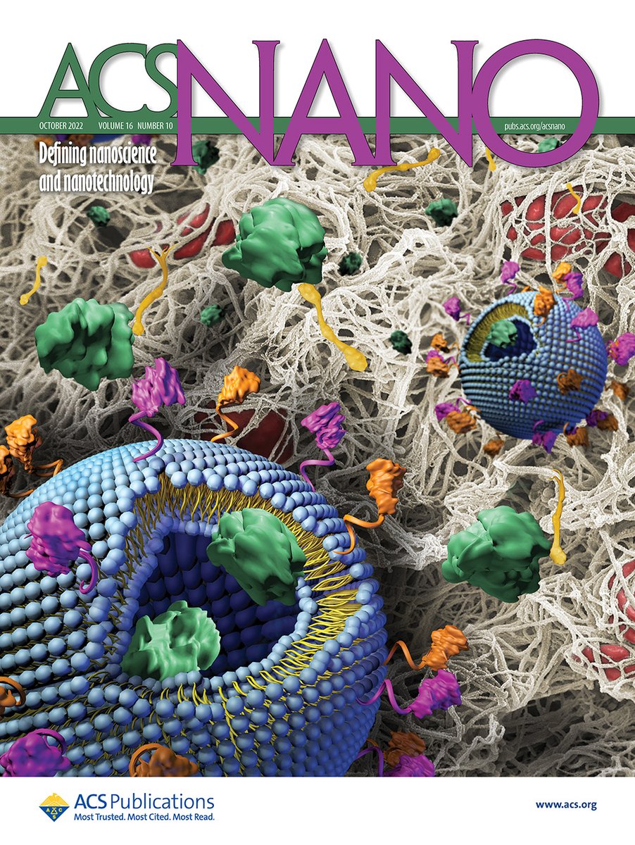 acsnano's tweet image. The October issue of @acsnano is out bit.ly/ReadIssue: 
Editorial on quantum materials and devices bit.ly/NN22Ed10
Cover story on intravenous nanomedicine bit.ly/NN22Delivery
#InNano highlights bit.ly/InNano10
Perspectives, Reviews, and more!