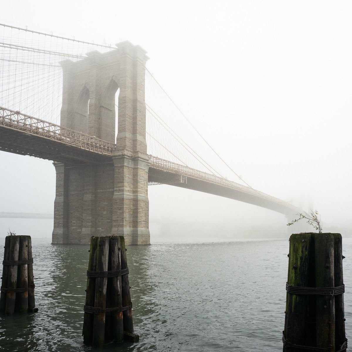 shawnpbruce's tweet photo. Went for a walk around Lower Manhattan this morning. The fog was incredible. https://t.co/Gq9vjdBmT1
