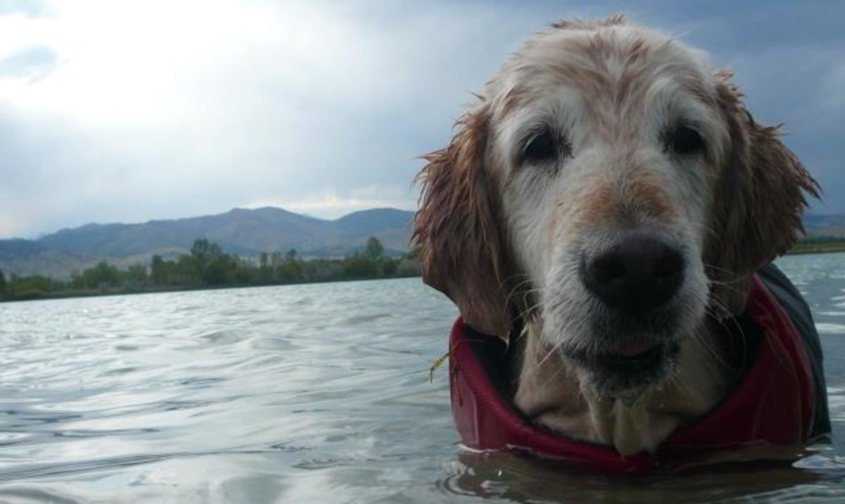 Ted Habermann tweet media