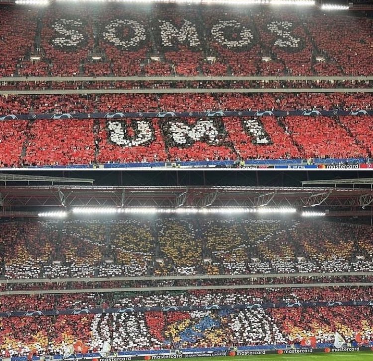 petroleao's tweet photo. Resumen de la noche de Champions:
Portugal 
Alemania
Austria
España 
#AnimarNoEsDelito https://t.co/kIonnNGRzP
