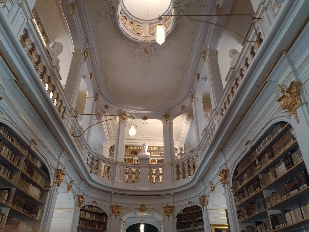 Larry7⚡aka das Lauchilein (@larry7_lauch) on Twitter photo 