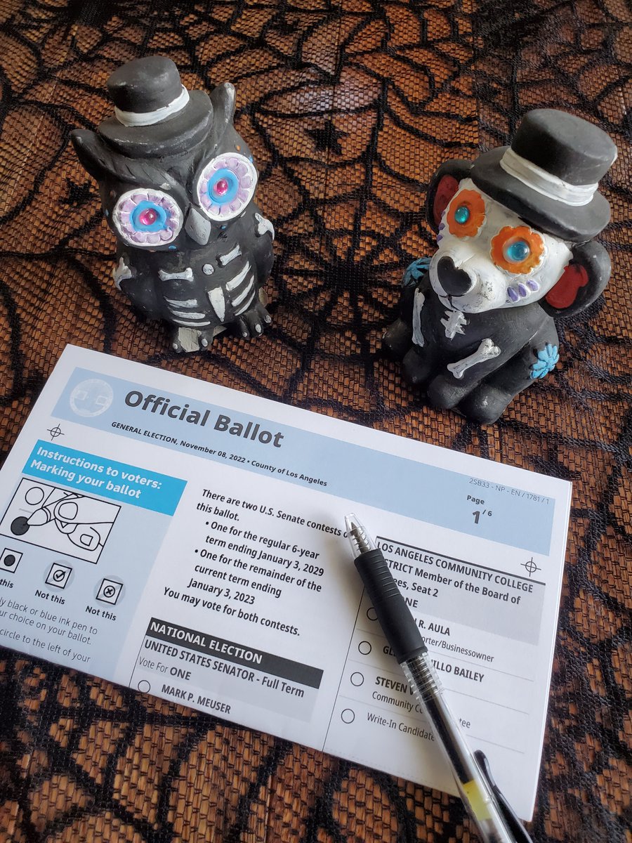 "Hey Owly, you voted yet?"
"Sure thing, Pup, mailed my ballot yesterday!"

Check in with your friends today and remind them to return their ballots!

#vote #democracy #GOTV #election #Election2022 #govote #yourvotematters #ballot