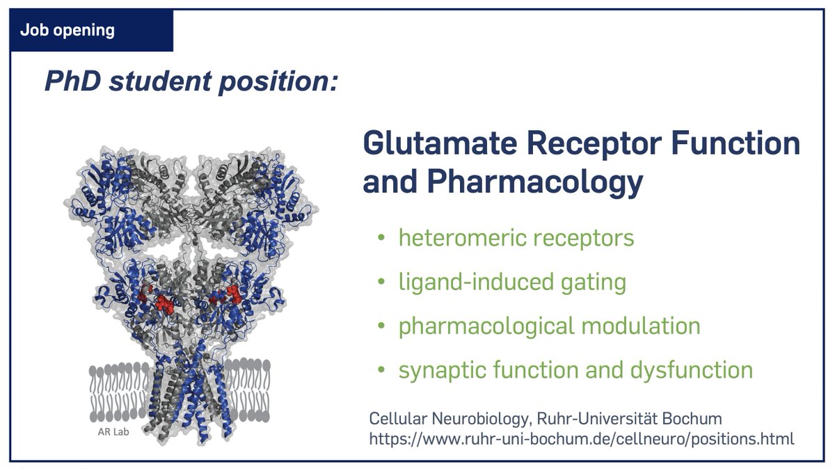 A. Reiner Lab tweet media