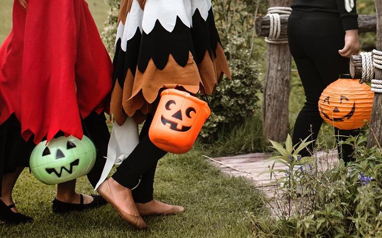 Albergue ACTIO tweet media