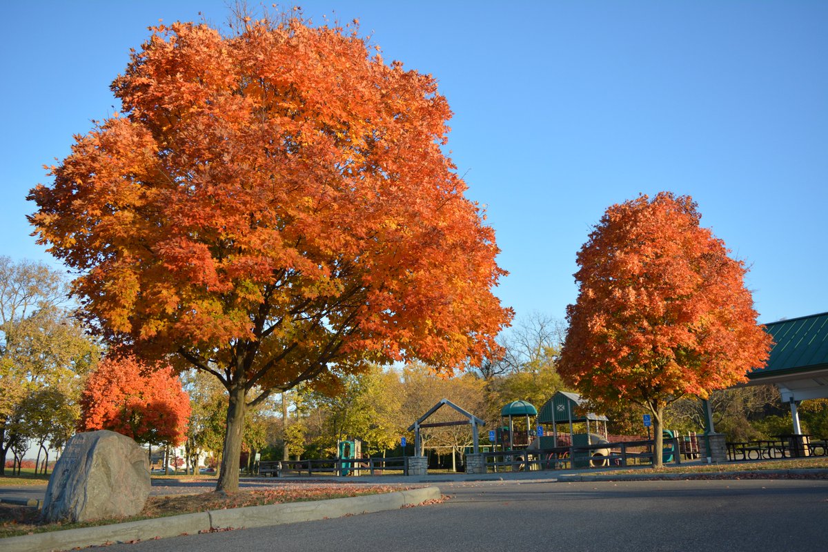 westchestertwp's tweet photo. π Fall foliage report from The Square, West Chester Cemetery, Muhlhauser Barn + Beckett Park #OhioFall22 #FallOhio22 #WestChesterOH #BestPlacestoLive https://t.co/846bfhytmA