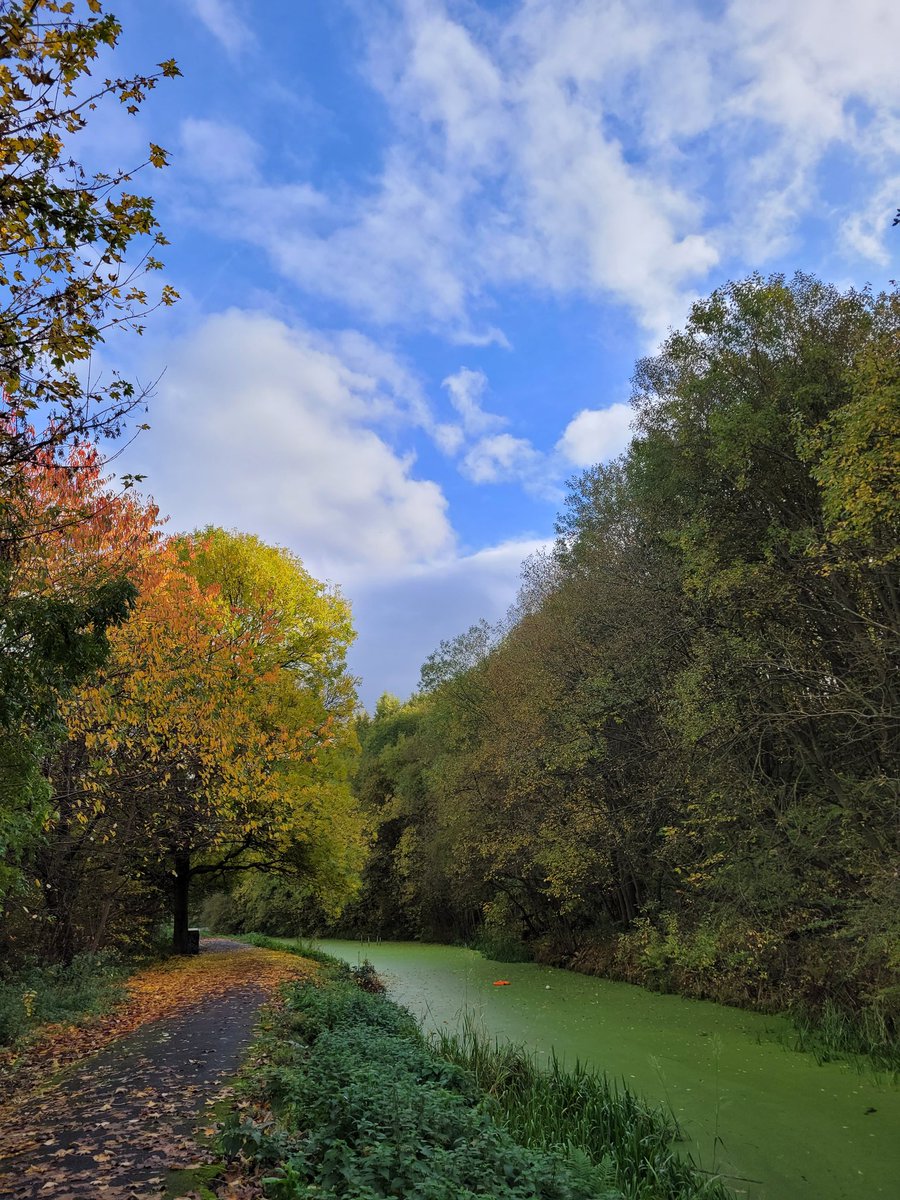 DearnePark's tweet photo. This beautiful park keeps us volunteering. Volunteering: good for your health, your community and your soul.  

@KeepBritainTidy @Juliamb21 @Active_Barnsley @BarnsleyCouncil @Barnsley_CVS @LWYLBarnsley https://t.co/xj6Lph8011