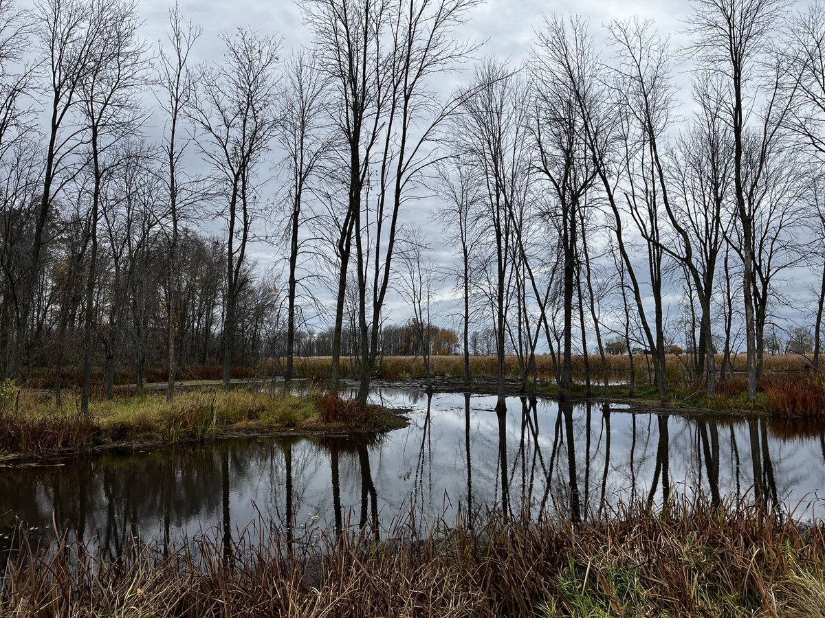 Tricia Bethke tweet media