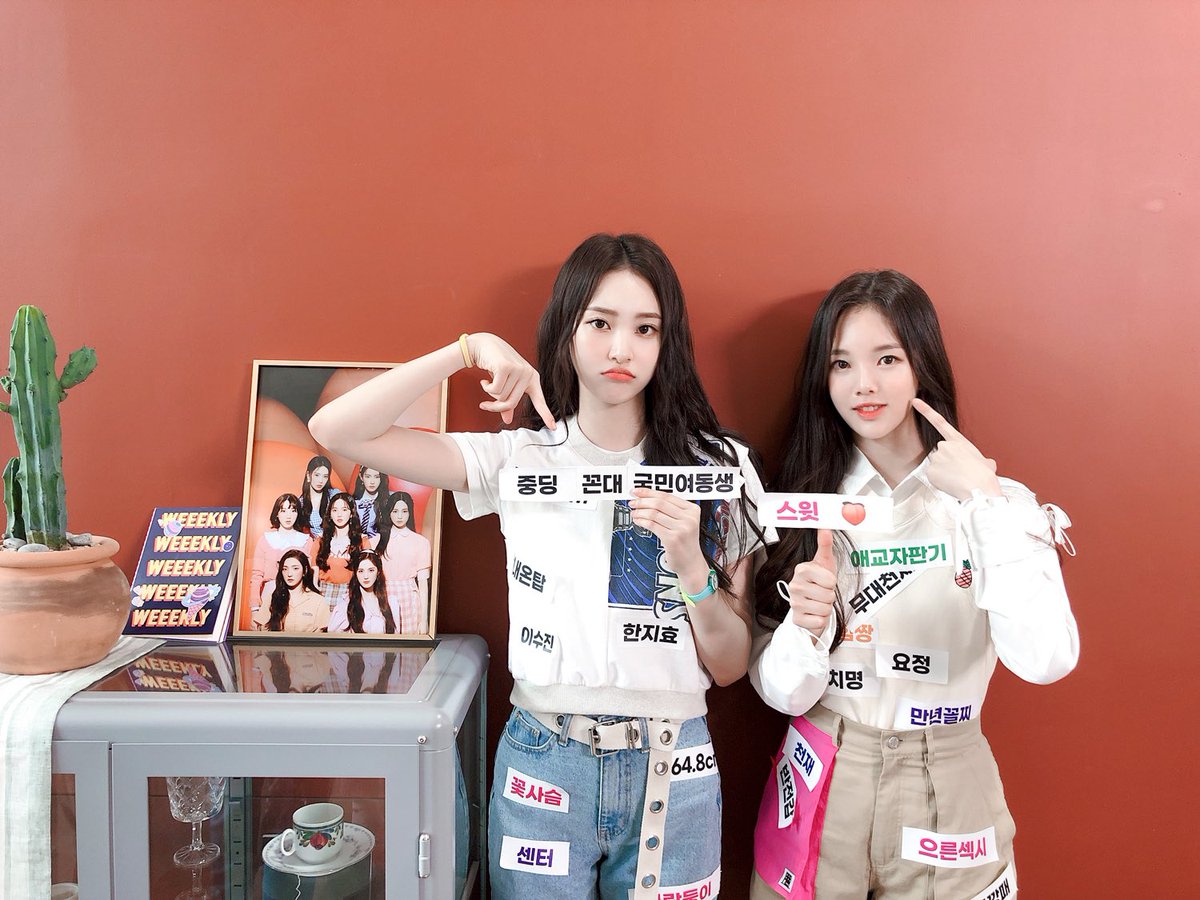 ❀ ꒱ 𝓦𝙴𝙴𝙴𝕃𝙰𝙽𝙳 tweet media