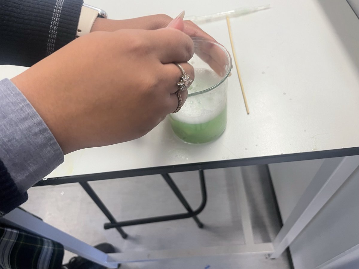 MoodymdD's tweet photo. DNA extraction from kiwis!!! https://t.co/72Rt8mKBqA