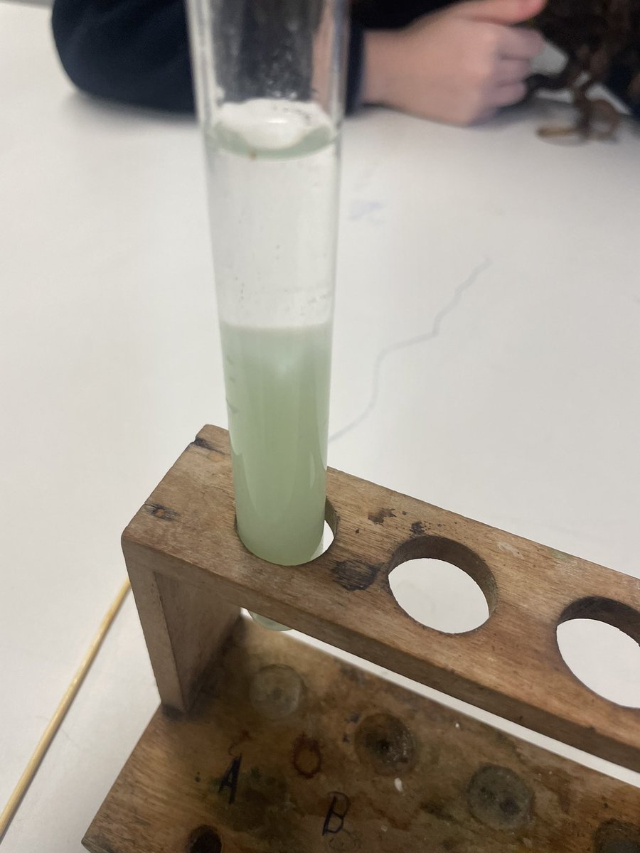 MoodymdD's tweet photo. DNA extraction from kiwis!!! https://t.co/72Rt8mKBqA