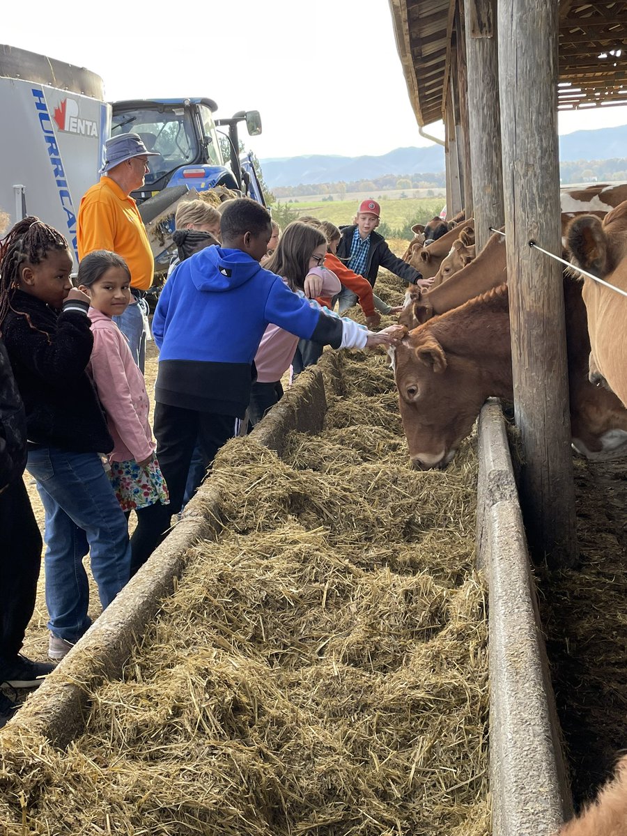 Mooreer's tweet photo. 3rd grade loved visiting the cows. #farmtofridge @connecting_s @HighlandGville https://t.co/RQ0pA2uDjA