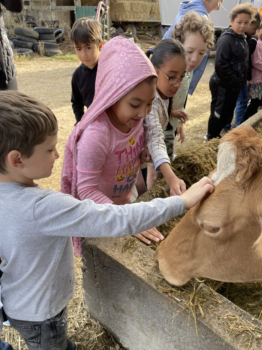 Mooreer's tweet photo. 3rd grade loved visiting the cows. #farmtofridge @connecting_s @HighlandGville https://t.co/RQ0pA2uDjA