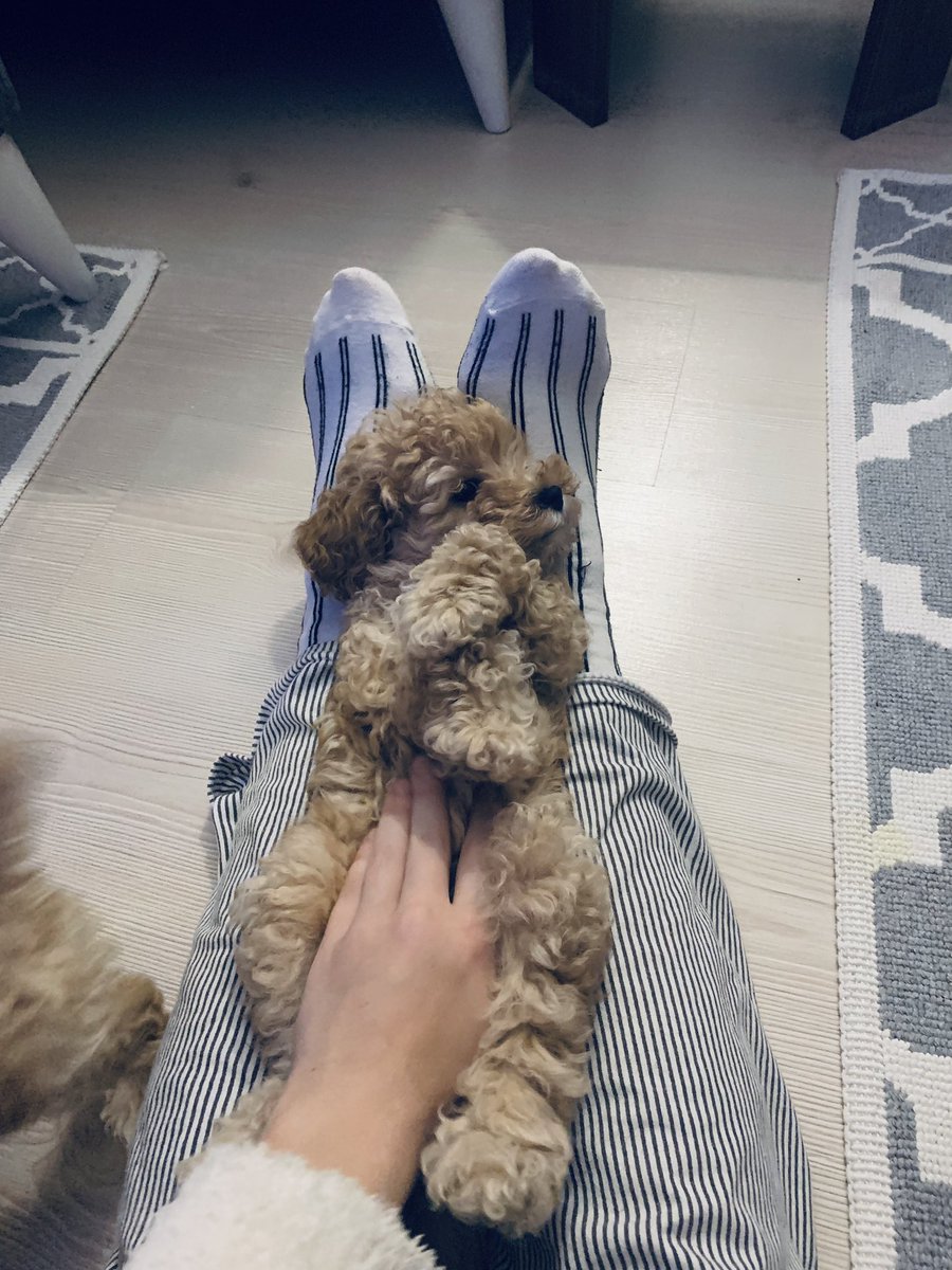 İşten geldim bebelerimi uyutuyorum