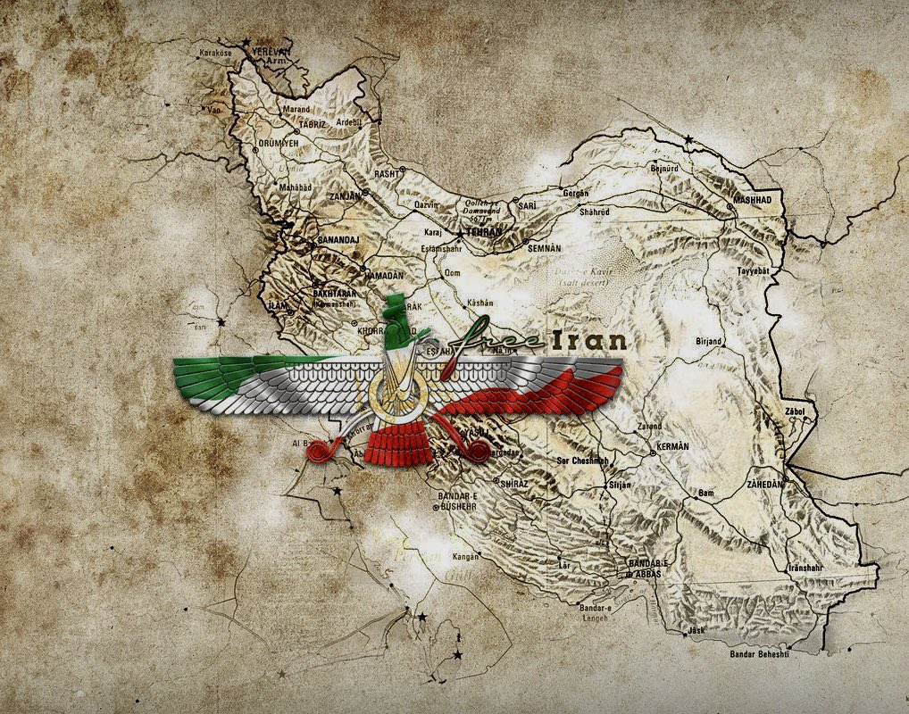 DrNegarPahlavani tweet media