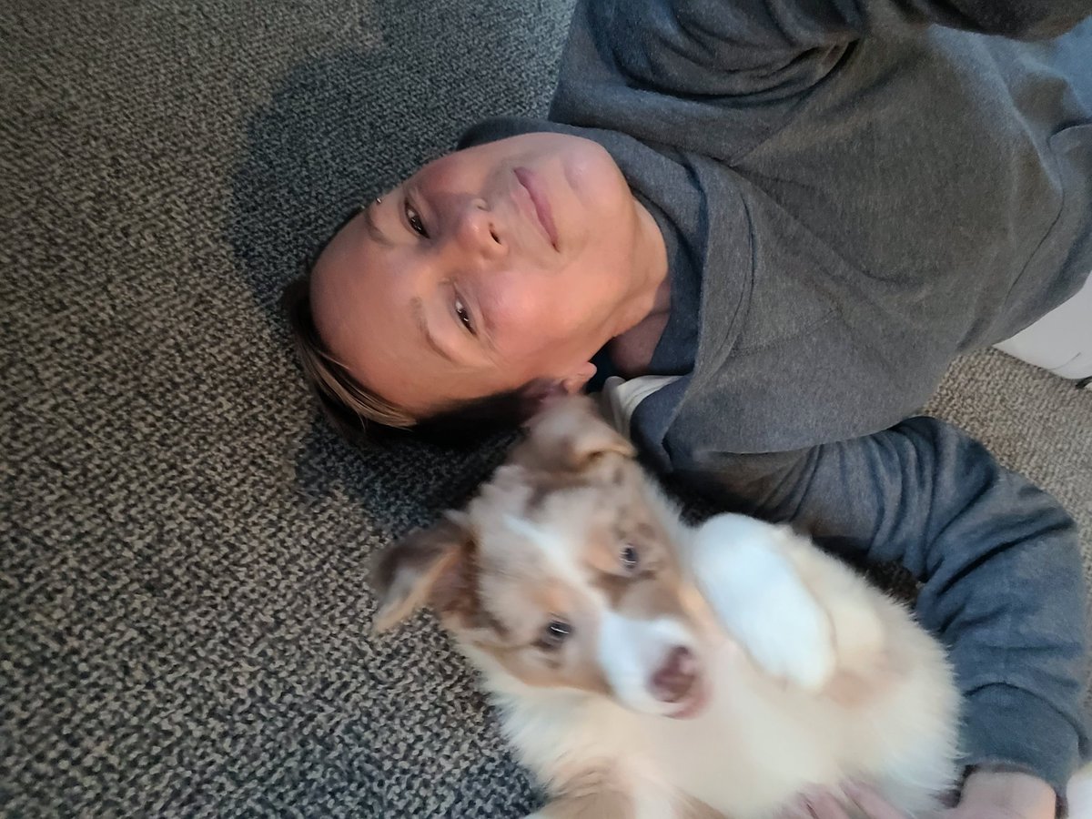 Tami Herron tweet media