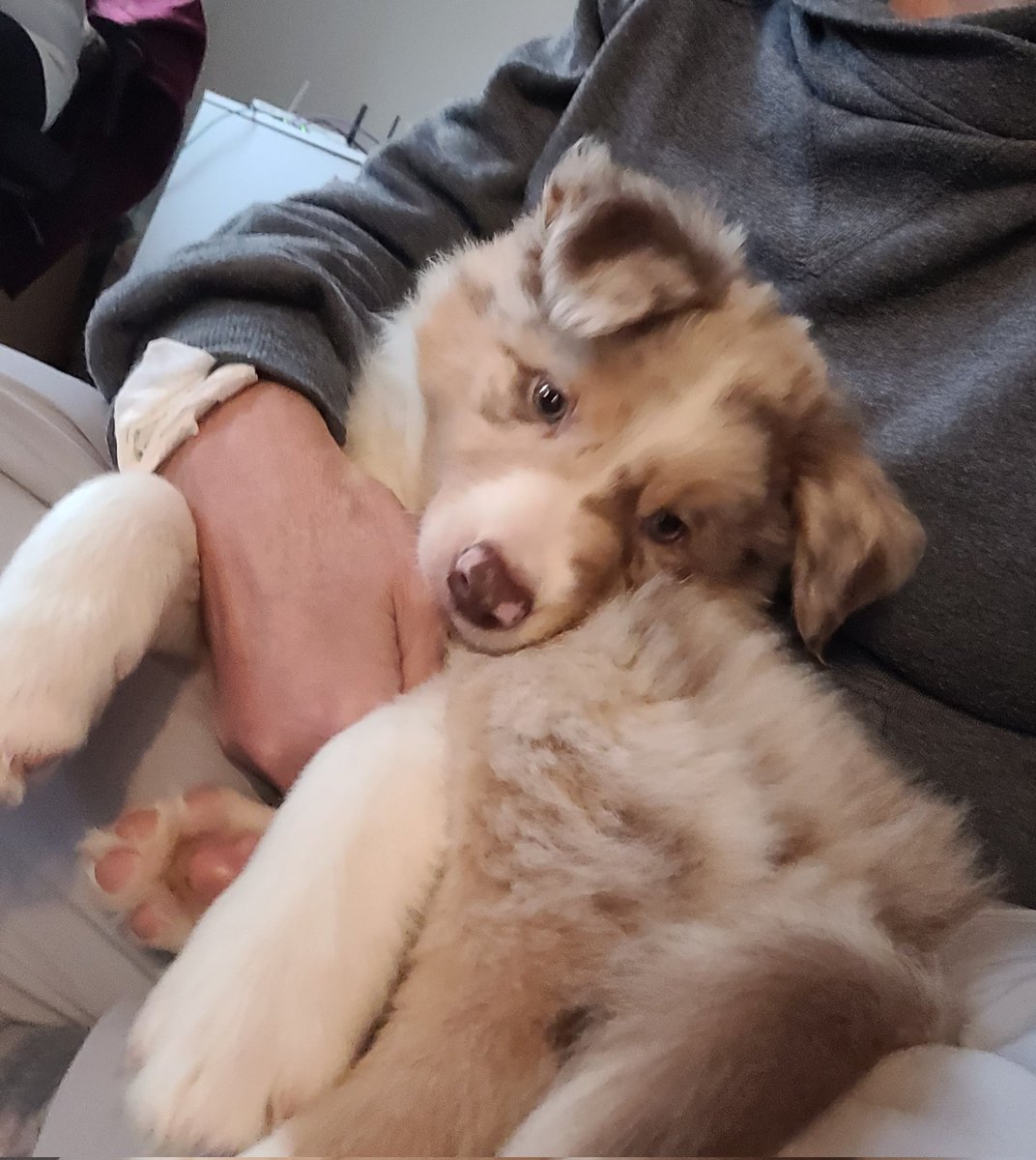 Tami Herron tweet media