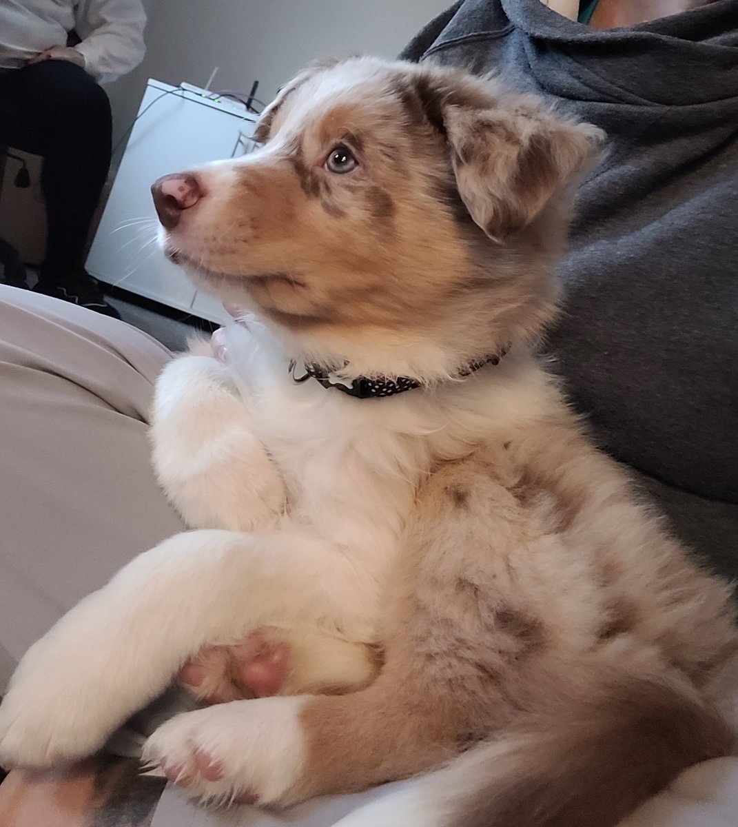 Tami Herron tweet media