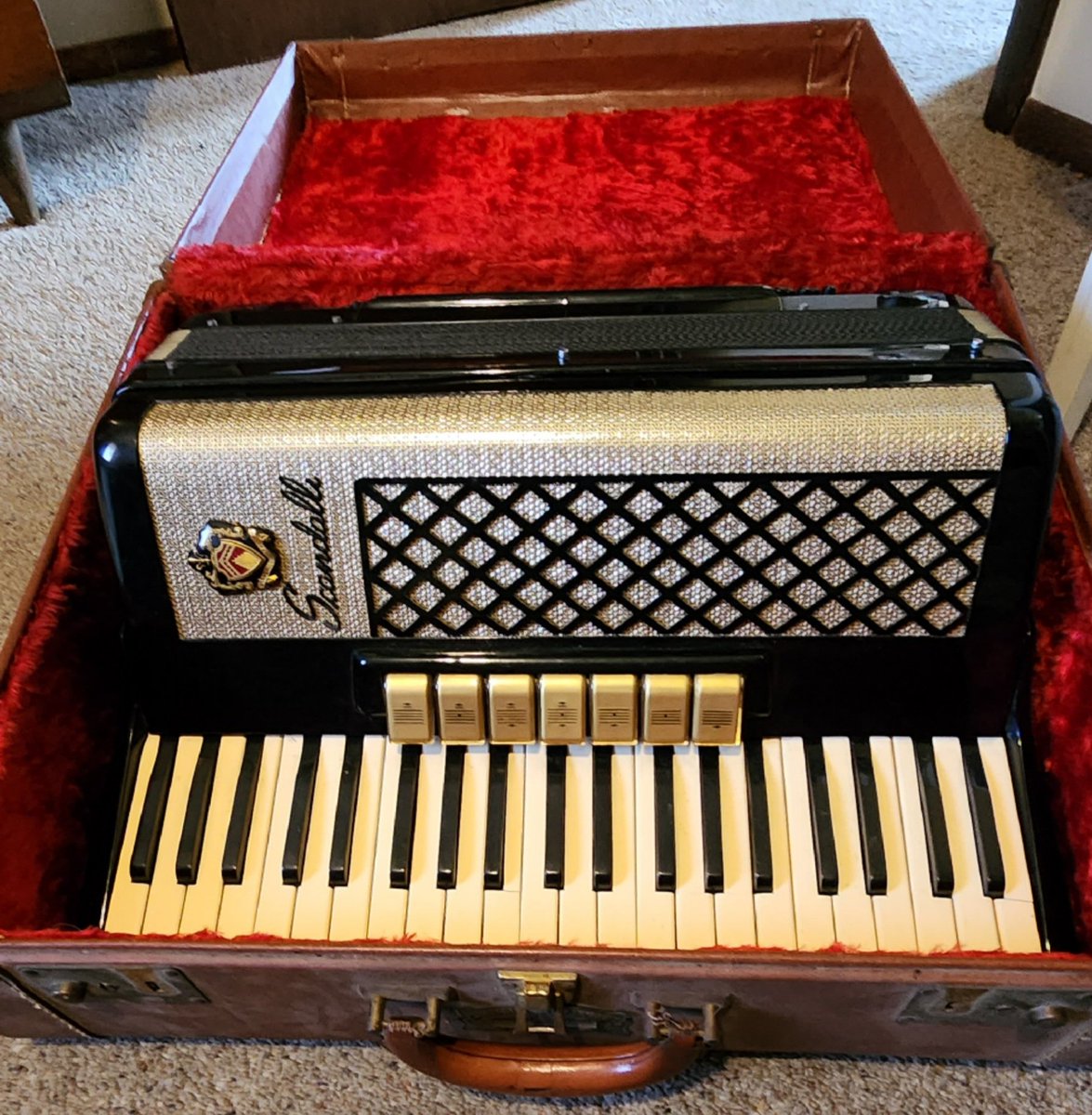 Any accordion people here that know anything about these?