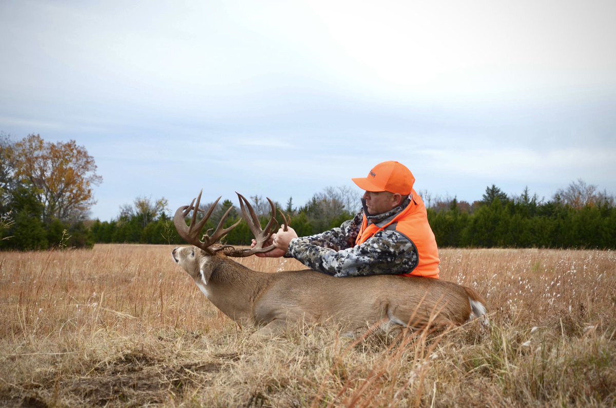 Oklahoma giant on the ground🦌