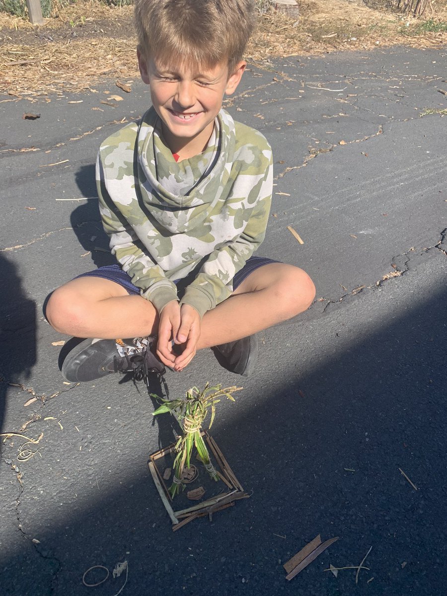 mrsutler's tweet photo. Using our engineering skills, we cross connect the curriculum of science &amp; social studies to create models of homes we could create in nature with limited materials &amp; time constraints! #gooojets https://t.co/PIVwsDit1Q