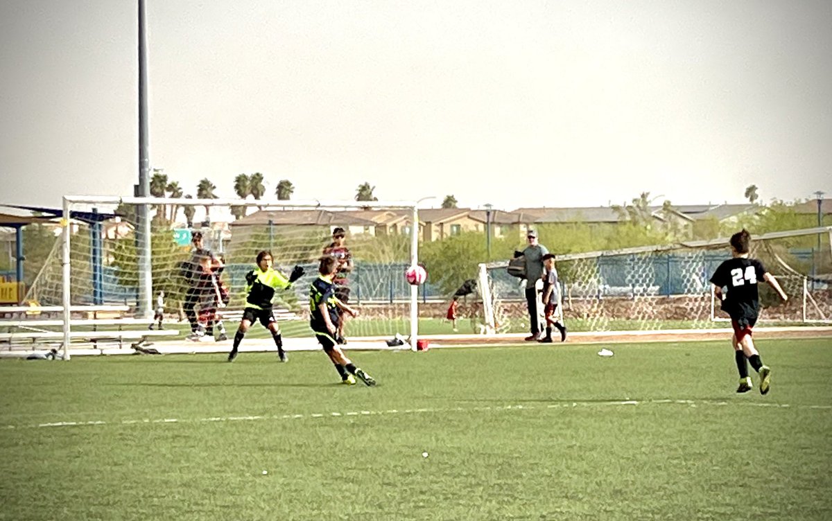 Lion'sDenFútbolClub tweet media