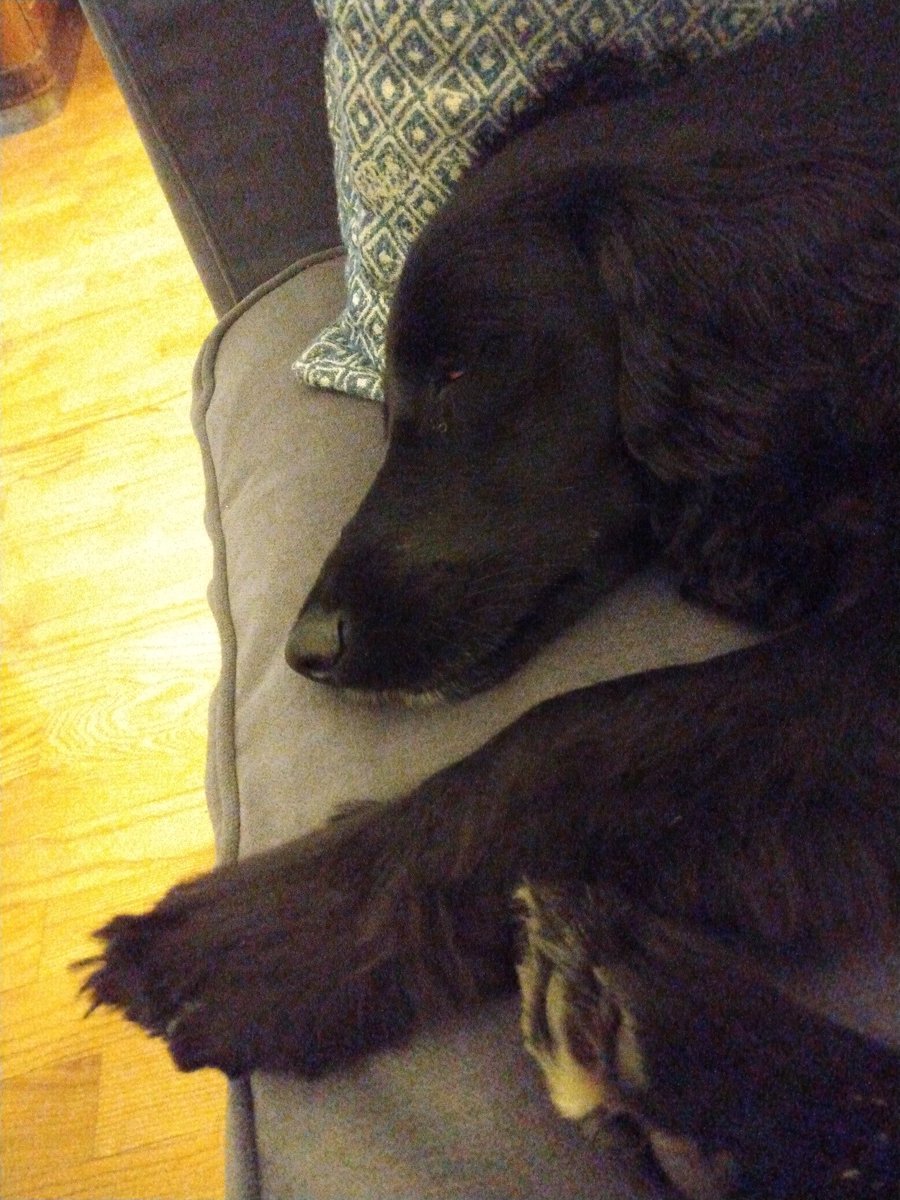 nesiandtweet's tweet photo. SEEMS SAD OK https://t.co/vmQg730VUu