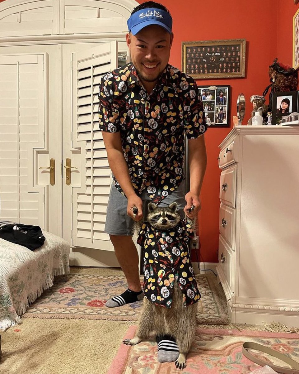 Raccoons Hourly tweet media